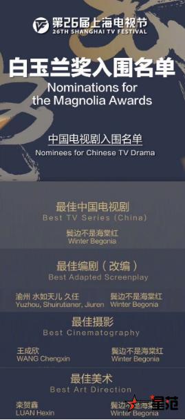 《鬓边不是海棠红》获第26届白玉兰奖四项提名